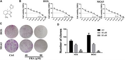 Fraxinellone Has Anticancer Activity by Inducing Osteosarcoma Cell Apoptosis via Promoting Excessive Autophagy Flux